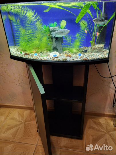 Новый аквариум Laguna Crystal 18 литров