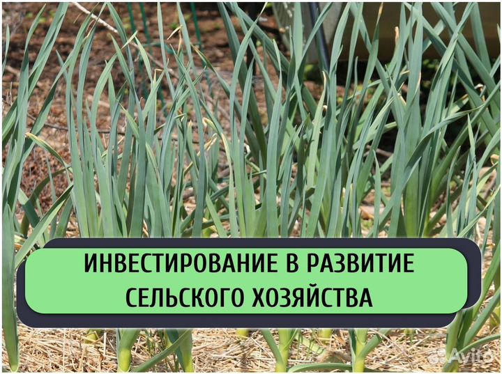 Инвестор в готовый бизнес / Поиск инвестора