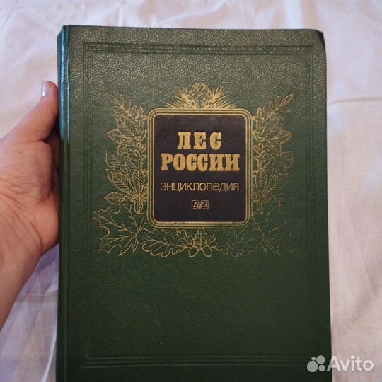 Энциклопедия