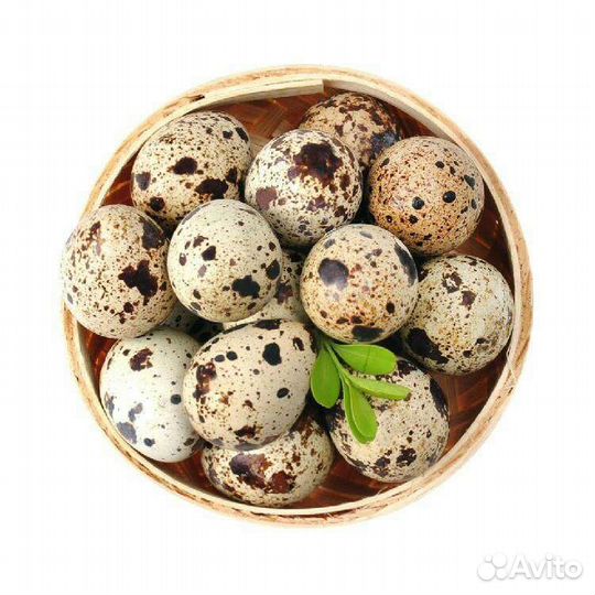 Яйца перепелиные домашние. С доставкой