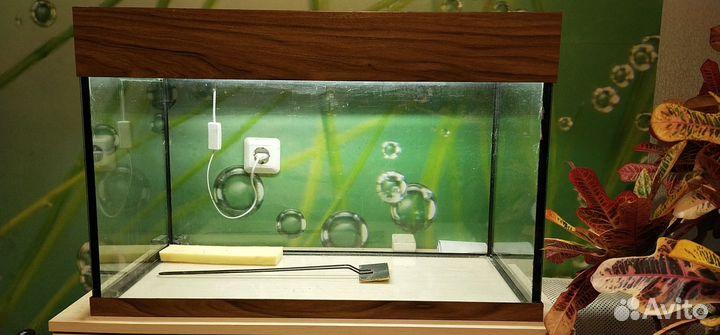 Аквариум