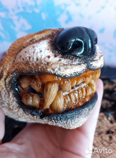 Намордник для маленькой собаки