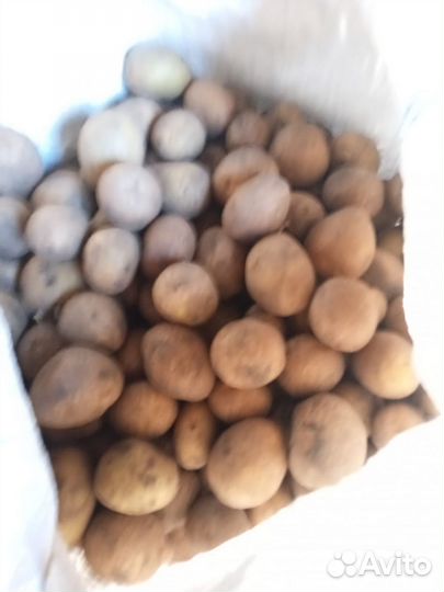 Продам мелкий картофель