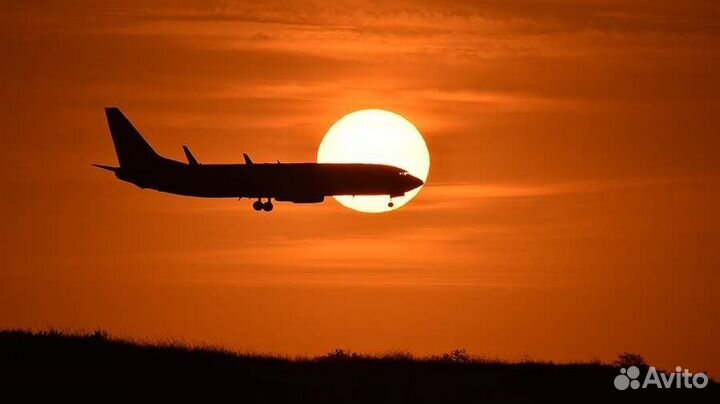 Упаковщик-Сборщик в аэропорт (график 5/2)