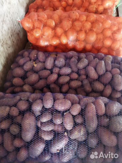 Отборный картофель и лук