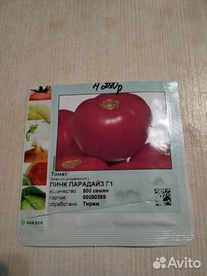 Рассада помидоров из профессиональных семян