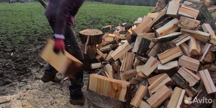 Дрова из ло