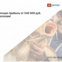 Агентство по рыбоводству в городе Тбилиси, Тбилиси