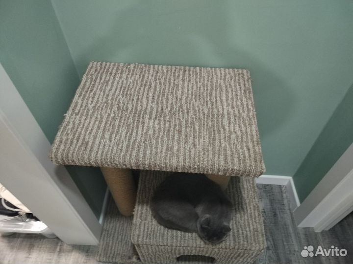 Домик для кошки большой и качественный