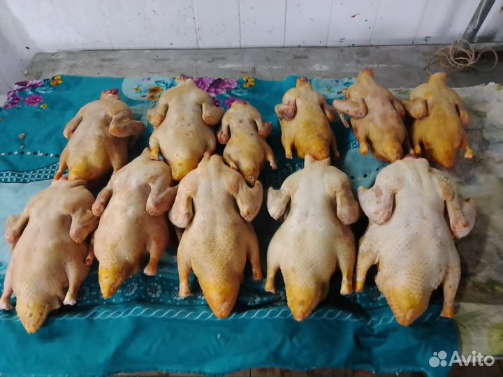 Утка резаная оптом