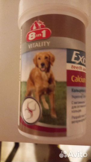 Корм для собак