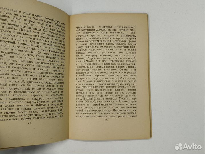 И.С.Тургенев. Певцы. Живые мощи. Лес и степь