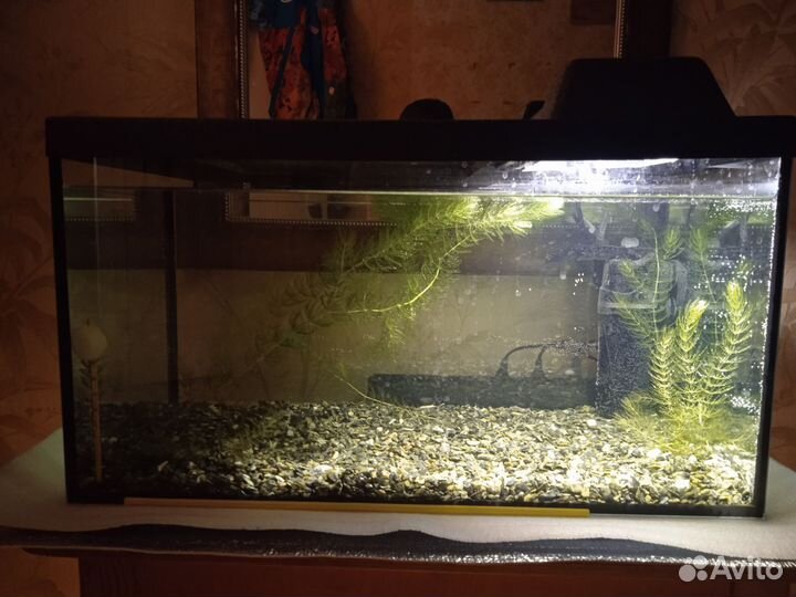 Аквариум