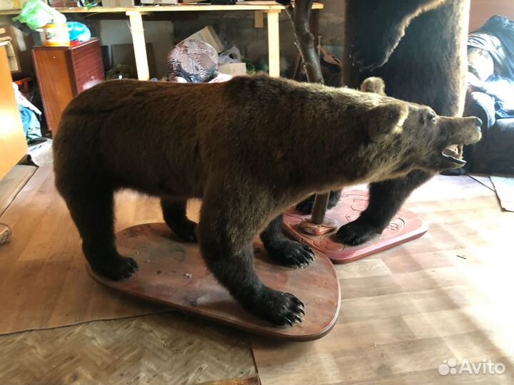 Чучело медведя(имитация)