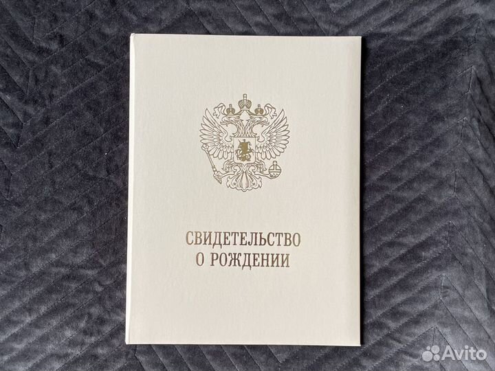 Обложка-органайзер для свиделельства о рождении