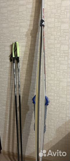 Беговые лыжи