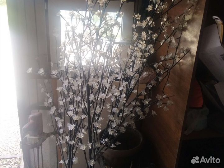 Светящееся дерево