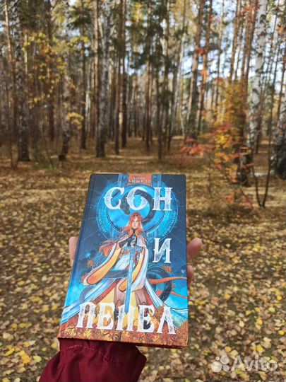 Сон и пепел. Алекс Анжело. Книга