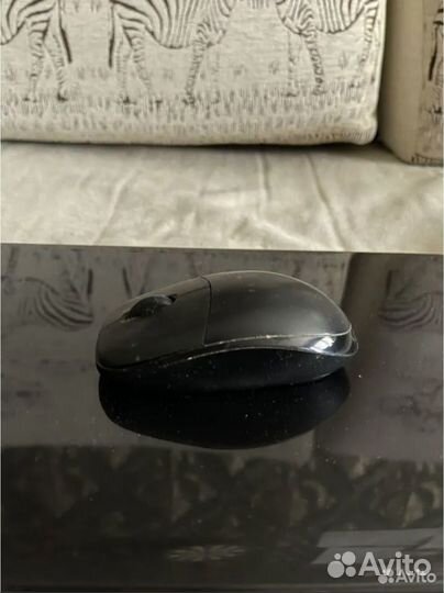 Ноутбук packard bell