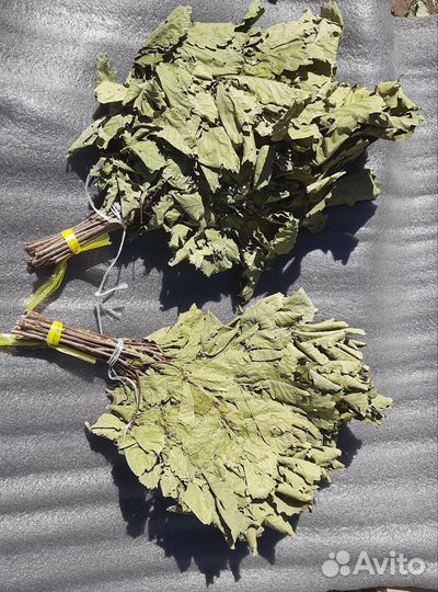 Веники дубовые