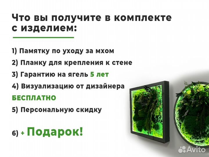 Комплект из панно со мхом 8 шт