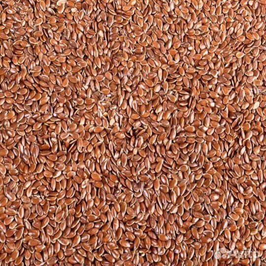 Семена льна коричневого