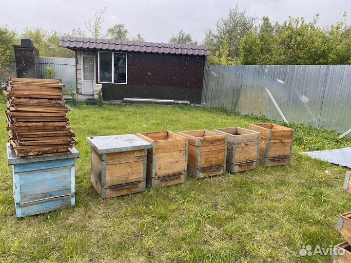 Улей для пчел