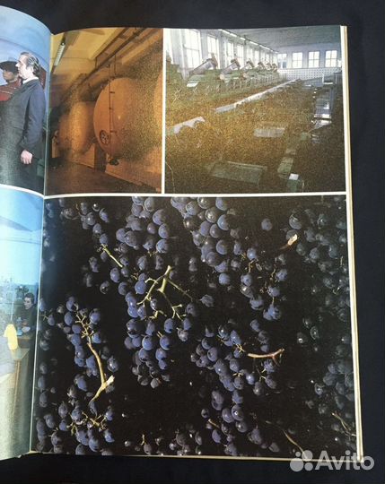 Вина и коньяки Молдавии, фотоальбом