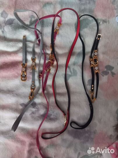 Одежда для маленьких собак