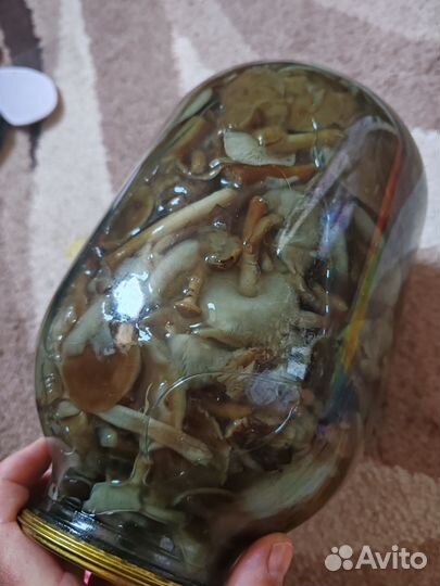 Грибы маринованные опята