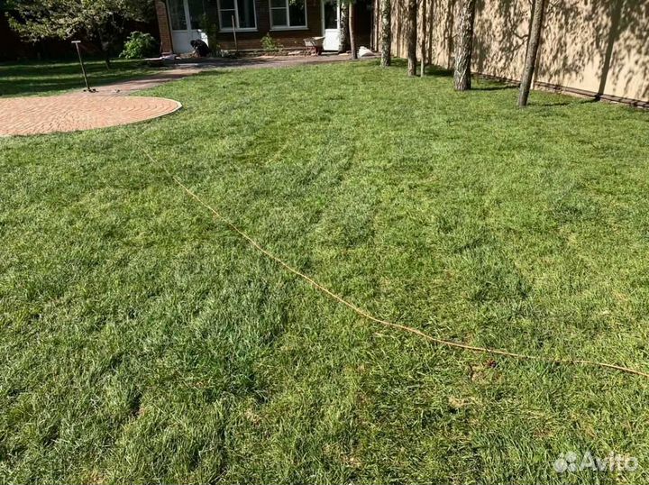 Рулонный газон напрямую от производителя