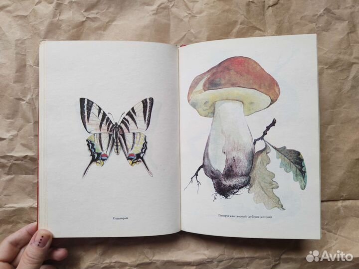 Красная книга растений и животных