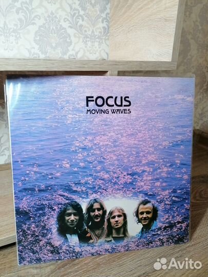 Винил Focus 