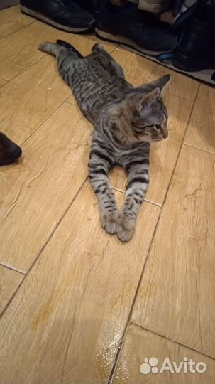 Фенечка в добрые руки