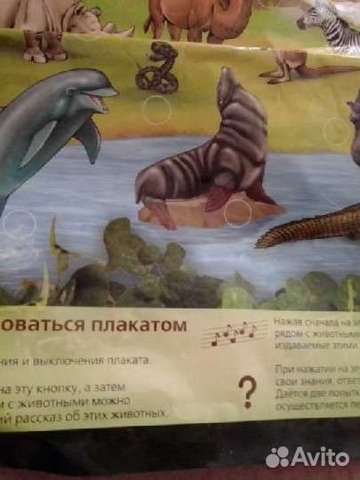 Электроплакат весёлый зоопарк игрушка