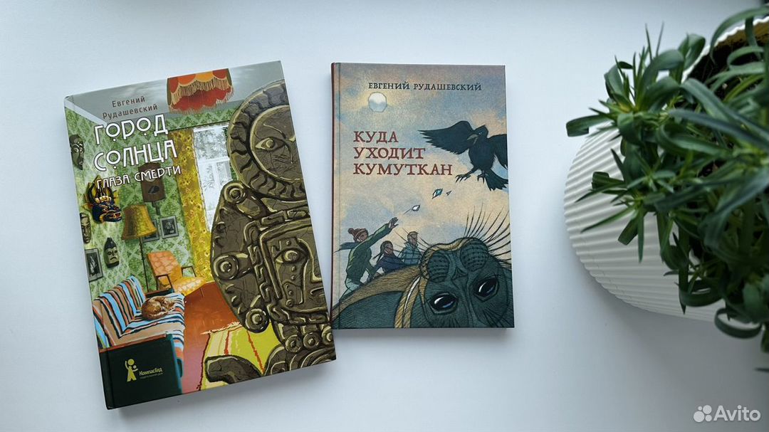 Книги Евгения Рудашевского