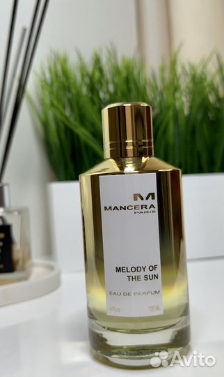 Mancera paris melody OF THE SUN