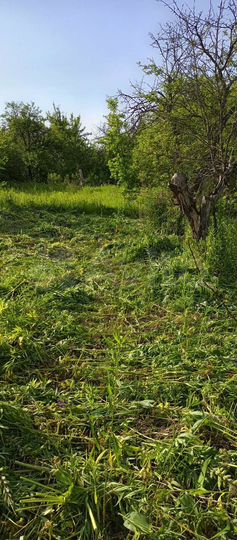 Дача 10 м² на участке 6 сот.