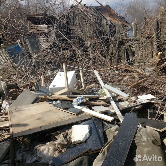 Пилить деревья