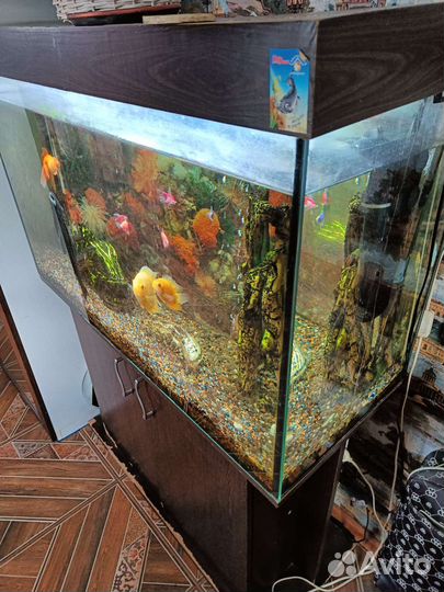 Аквариум с тумбой и рыбками