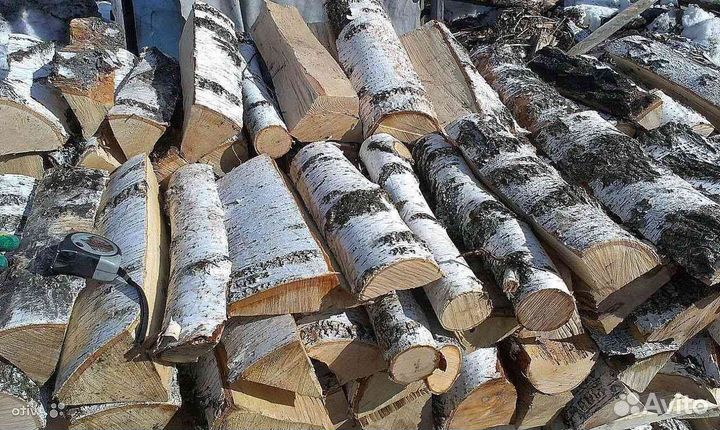 Дрова колотые береза