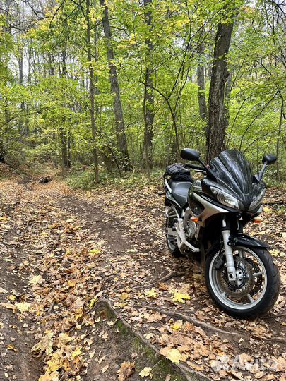 Yamaha FZ6