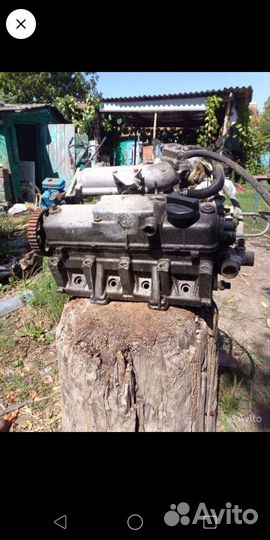 Голова 2110 взборе