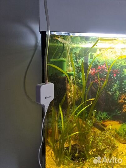 Аквариум 100 литров