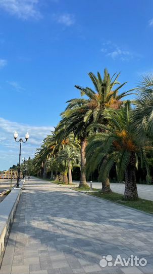 Индивидуальные экскурсии в Абхазию