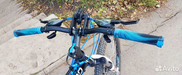 Велосипед Raptor 2.0 Custom