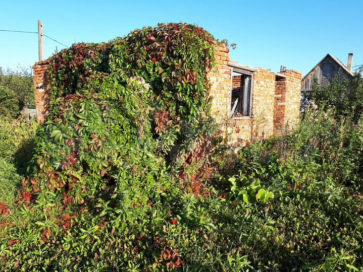 Участок 6 сот. (СНТ, ДНП)