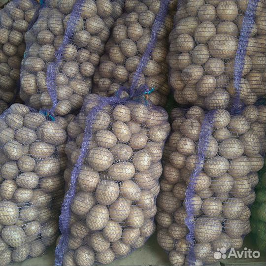 Продам картофель с доставкой