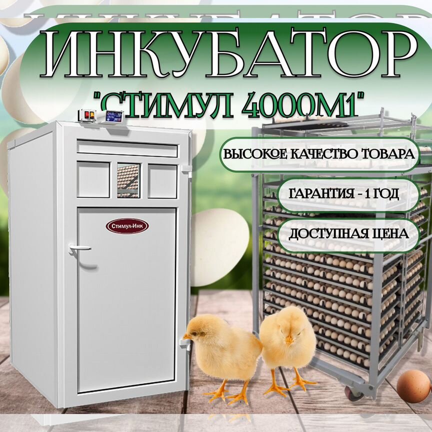 Инкубатор для яиц автоматический стимул-4000М1П