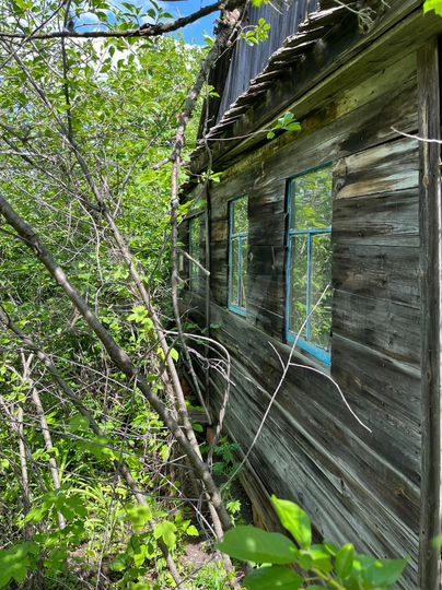 Участок 6 сот. (СНТ, ДНП)